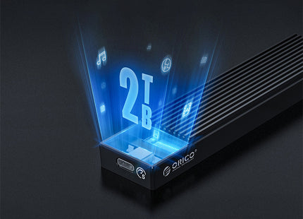 ORICO LSDT M.2 NVME Enclosure USB C Gen2 10Gbps PCIe SSD Case M2 SATA
