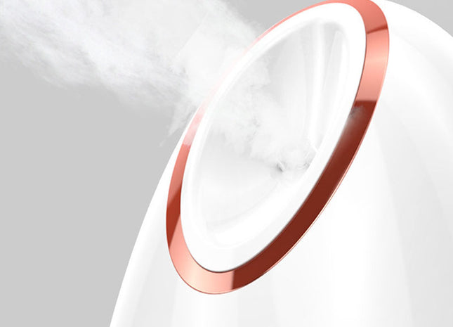 Nano Thermal Spray Moisturizing Face Steamer - Gograbsum