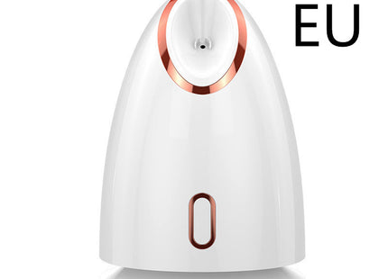 Nano Thermal Spray Moisturizing Face Steamer - Gograbsum