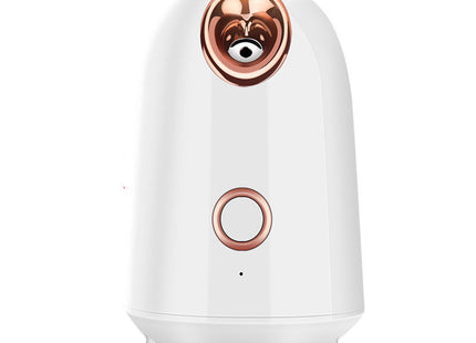 Nano Thermal Spray Moisturizing Face Steamer - Gograbsum